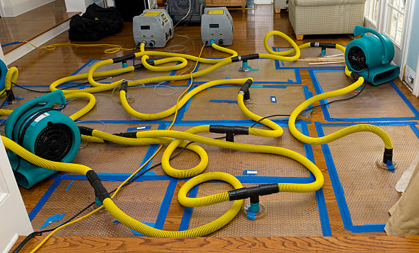 Professional Crawl Space Water Removal technician working in Hancock, IA